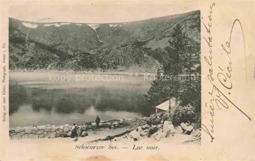 AK / Ansichtskarte Lac Noir Schwarzer See 88 Vosges Panorama