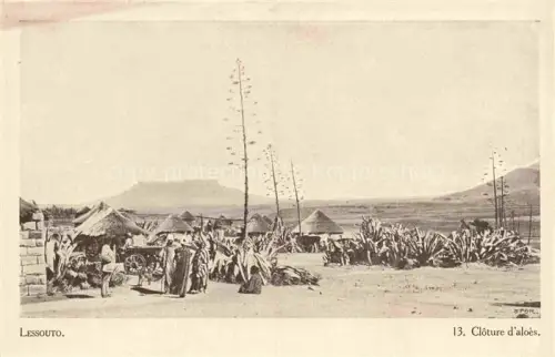 AK / Ansichtskarte Lessouto Lesotho Cloture d'aloes