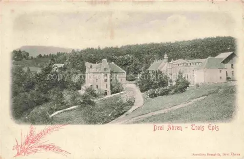 AK / Ansichtskarte Trois-Epis Drei-aehren 68 Haut-Rhin Panorama