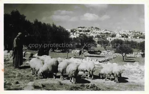 AK / Ansichtskarte Bethlehem  Yerushalayim Israel from Shepherds field