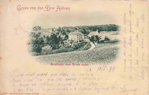 AK / Ansichtskarte Trois-Epis Drei-aehren 68 Haut-Rhin Panorama