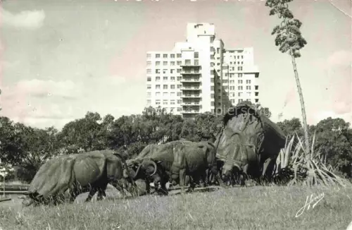 AK / Ansichtskarte MONTEVIDEO  Uruguay La Carreta y Hospital de Clinicas