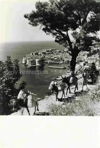 AK / Ansichtskarte DUBROVNIK Ragusa Croatia Teilansicht Eseltreck