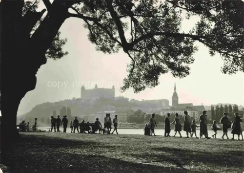 AK / Ansichtskarte BRATISLAVA Pressburg Pozsony SK Pohlad z Petrzalky na hrad