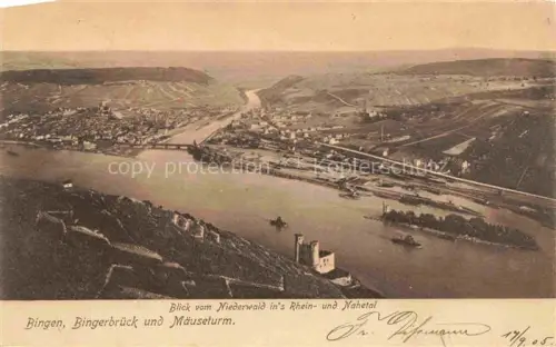 AK / Ansichtskarte RueDESHEIM am Rhein Hessen Panorama Blick vom Niederwald-Denkmal ins Rhein- und Nahetal Bingen Bingerbrueck und Maeuseturm