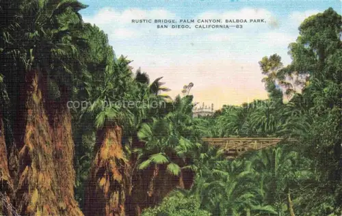 AK / Ansichtskarte SAN DIEGO California USA Rustic Bridge Palm Canyon Balboa Park