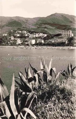 AK / Ansichtskarte Banyuls de la Marenda 66 Pyrenees-Orientales La baie et le bord