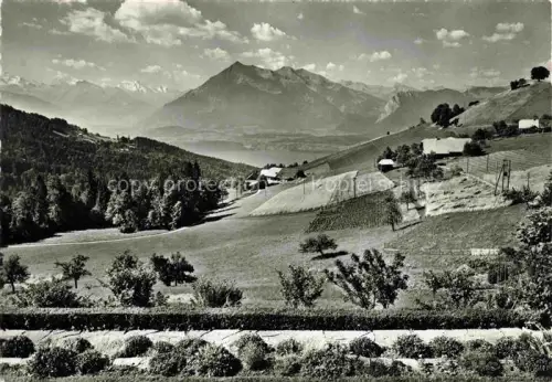 AK / Ansichtskarte Schwendi Thun BE Hotel Niesenblick Panorama