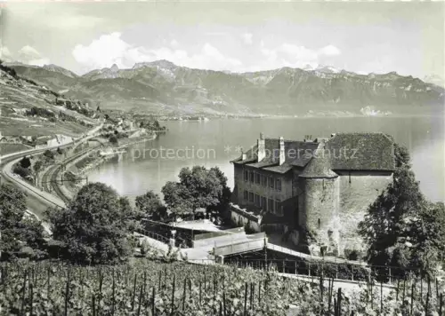 AK / Ansichtskarte Glerolles Chateau St Saphorin Lavaux VD Le vignoble et le Lac Leman
