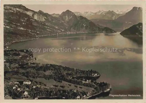 AK / Ansichtskarte Hertenstein  LU Fliegeraufnahme mit Toechterinstitut Stella Matutina