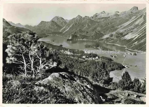 AK / Ansichtskarte Silsersee Silser-See Sils Baselgia Engadin Maloja GR Blickauf Sils Maria Sils Baselgia und Maloja