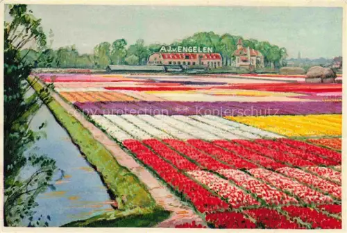 AK / Ansichtskarte Chantilly SENLIS 60 Oise AJ van Engelen Vignons a fleurs de Hollande