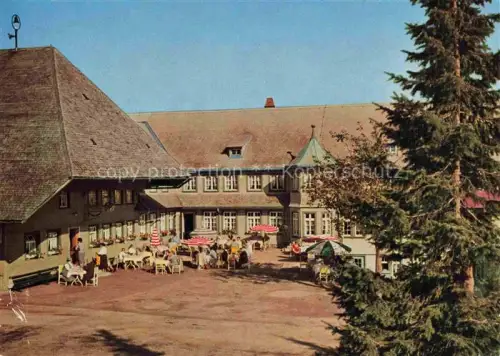 AK / Ansichtskarte Schauinsland Oberried BW Hotel Haldenhof am Schauinsland