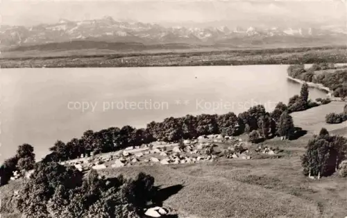 AK / Ansichtskarte Iriswiese Kressbronn Bodensee BW Campingplatz Alpenpanorama