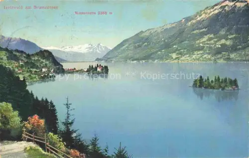 AK / Ansichtskarte Iseltwald Brienzersee Interlaken BE Niesenkette 