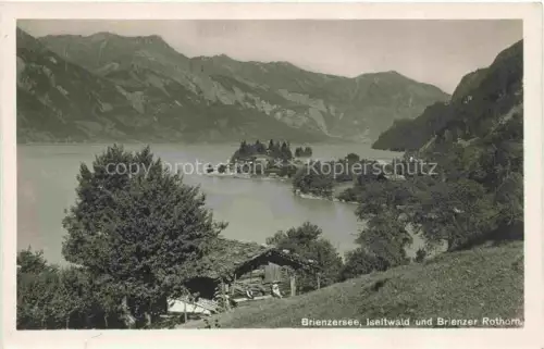 AK / Ansichtskarte Brienzersee Brienz BE Rothorn 