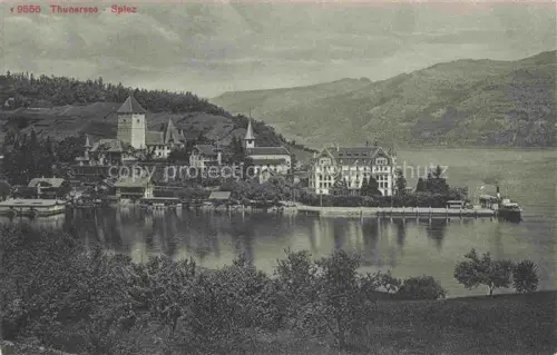 AK / Ansichtskarte SPIEZ Thunersee Niedersimmental BE 