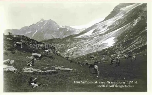 AK / Ansichtskarte Simplonstrasse VS Wasserhorn Kaltwassergletscher 