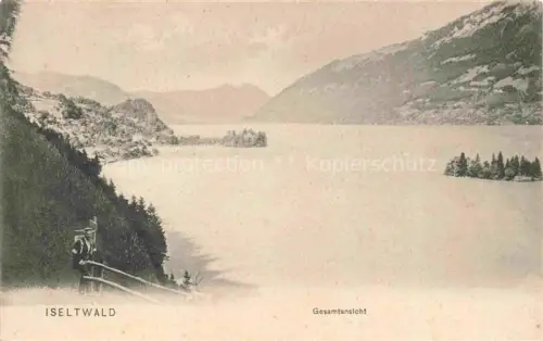 AK / Ansichtskarte Iseltwald Brienzersee Interlaken BE Gesamtansicht 