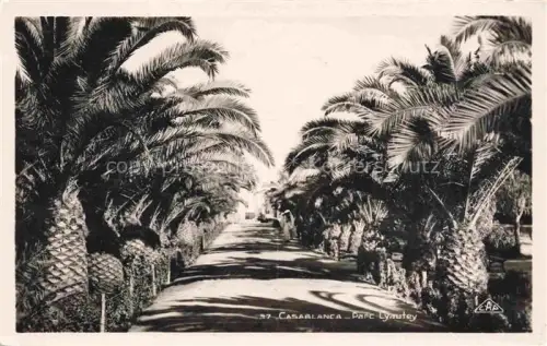 AK / Ansichtskarte CASABLANCA Maroc Parc Lyautey