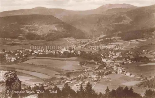 AK / Ansichtskarte Bodenmais Panorama Bayerischer Wald