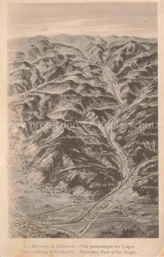 AK / Ansichtskarte Selestat Schlettstadt 67 Bas-Rhin Environs de Schlestadt vue panoramique des Vosges à vol d'oiseau