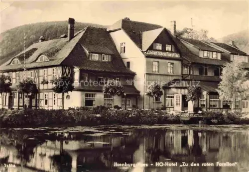 AK / Ansichtskarte Ilsenburg Harz Sachsen-Anhalt HO Hotel Zu den roten Forellen