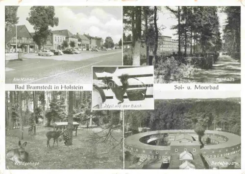 AK / Ansichtskarte Bad Bramstedt Schleswig-Holstein Am Markt Kurhaus Wildgehege Badehaus