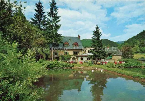 AK / Ansichtskarte Mayen Eifel Rheinland-Pfalz Schwedisches Gaestehaus Nette Muehle Teich