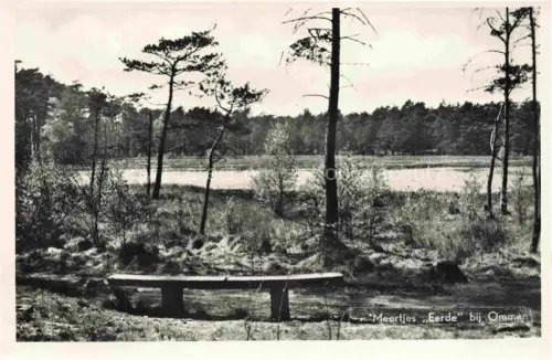 AK / Ansichtskarte Ommen Overijssel NL Meertjes Eerde 