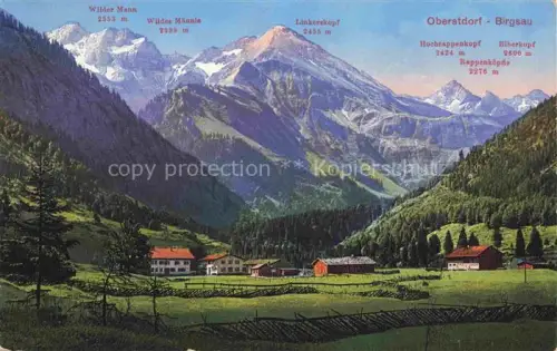 AK / Ansichtskarte Birgsau Oberstdorf Bayern Wilder Mann Linkerskopf 