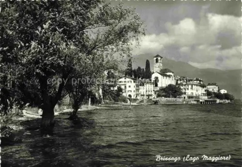 AK / Ansichtskarte Brissago Lago Maggiore TI 