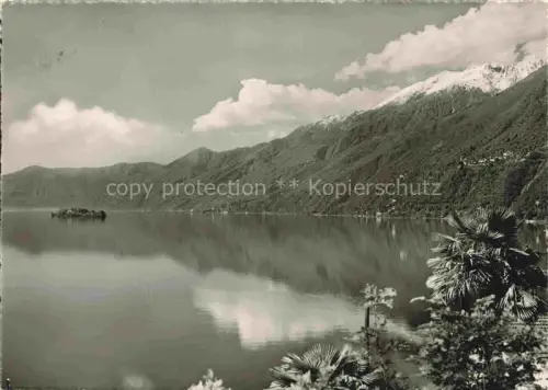 AK / Ansichtskarte Ronco Ascona Locarno Lago Maggiore TI Brissago 