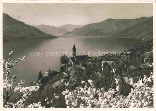 AK / Ansichtskarte Ronco Ascona Locarno Lago Maggiore TI Langensee 