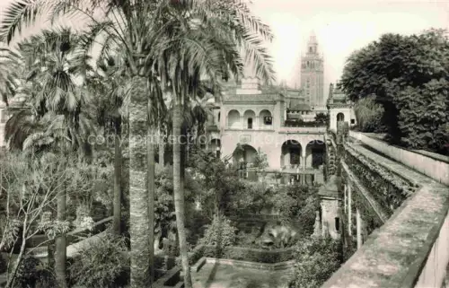 AK / Ansichtskarte SEVILLA Andalucia ES The Giralda from the Royal Moorish Castle