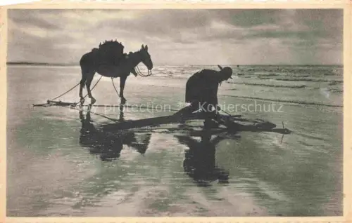 AK / Ansichtskarte Oostduinkerke Koksijde Belgie Pêcheur de crevettes Krabbenfischer
