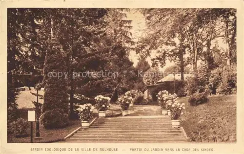 AK / Ansichtskarte MULHOUSE Muehlhausen 68 Haut-Rhin Jardin Zoologique Partie du jardin vers la Cage des Singes