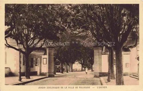 AK / Ansichtskarte MULHOUSE Muehlhausen 68 Haut-Rhin Jardin Zoologique l'entrée