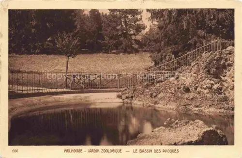 AK / Ansichtskarte MULHOUSE Muehlhausen 68 Haut-Rhin Jardin Zoologique Bassin des Phoques