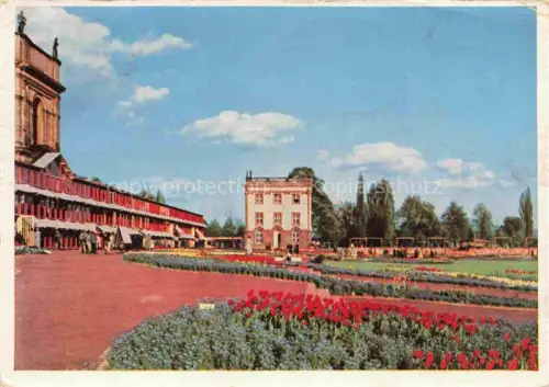 AK / Ansichtskarte BUGA Bundesgartenschau Kassel Orangerie Kuechenpavillon NesCafe