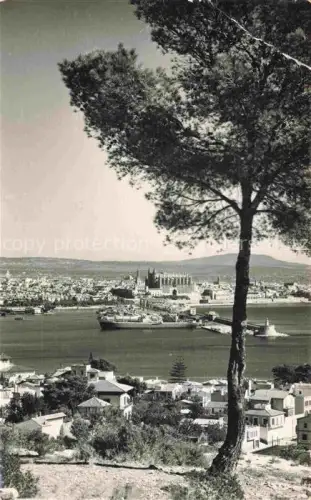 AK / Ansichtskarte Palma de Mallorca ES Panorama