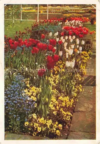 AK / Ansichtskarte BUGA Bundesgartenschau Koeln Blumenrabatten Haupteingang 