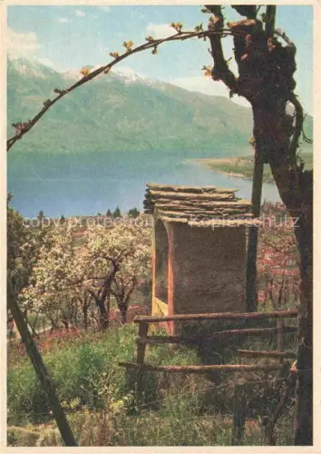 AK / Ansichtskarte SCHELLENBERG H. Kuenstlerkarte Zuerich Bei Orselina Pro Infirmis