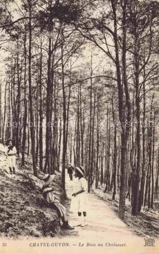 AK / Ansichtskarte Chatel-Guyon Chatelguyon 63 Puy-de-Dome Le Bois au Chalusset