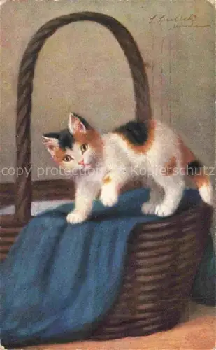 AK / Ansichtskarte KATZEN Cats Chats Gatos Gatti-- 