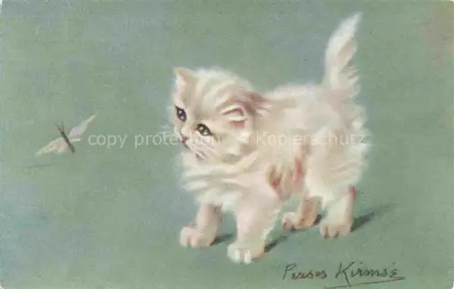 AK / Ansichtskarte KATZEN Cats Chats Gatos Gatti-- Verlag Tucks Nr. 3581