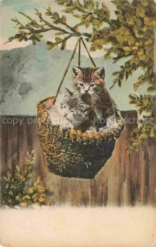 AK / Ansichtskarte KATZEN Cats Chats Gatos Gatti-- Korb