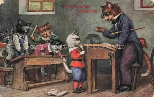 AK / Ansichtskarte Vermenschlicht Humanises-- Schule Unterricht Katzen 