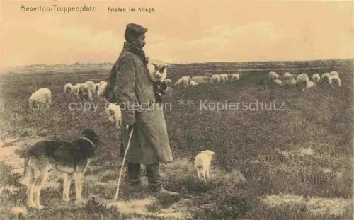 AK / Ansichtskarte Schaeferei Sheperding Bergerie-- Beverloo Truppenplatz Frieden im Krieg Hund 