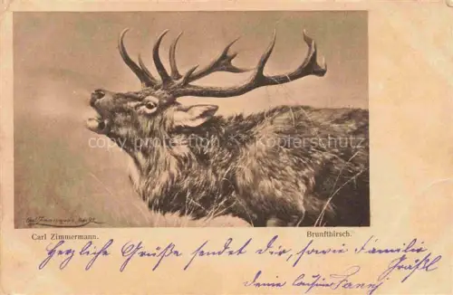 AK / Ansichtskarte ZIMMERMANN Carl Kuenstlerkarte Brunfthirsch 